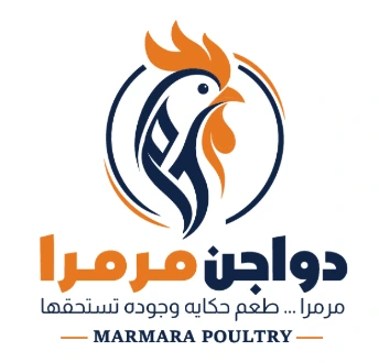 My Website